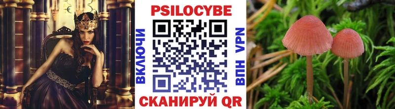 Галлюциногенные грибы Psilocybine cubensis  где купить наркоту  Нея 